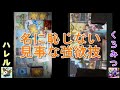 【ポケカ】サイドいっぱいくれ！ヨクバリスデッキ！【リモート対戦】