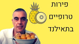 פירות טרופיים בתאילנד