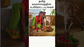 தமிழ் கலாச்சாரத்தின் உயிரோட்டமான படம்#trending #youtubeshorts #viral #reels #tiktok #தமிழன்