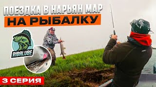 #3 Нарьян-Мар.  Где Олени и РЫБА - ГЛАВНОЕ СОКРОВИЩЕ. РЫБАЛКА 2024