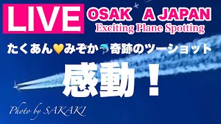 🔴 LIVE OSAKA ITAMI Airport ( JAPAN ) 2024/8/18 大阪伊丹空港   ライブカメラ