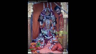 Shree Ranchhodraiji live Darshan Dakor temple @RanchhodraijiLiveDarshanDakor