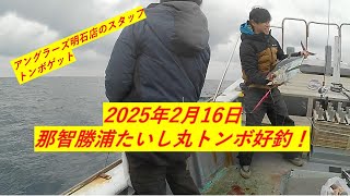 2025年2月16日那智勝浦トンボジギング好調