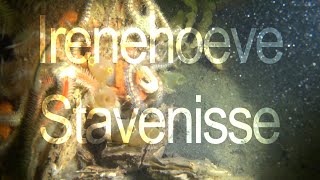 Irenehoeve Stavenisse