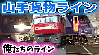 ここは貨物線！首都東京のど真ん中を南北に行き来する貨物列車たちの輝き【山手線】【大都会の貨物列車】