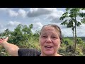 US to Ghana Beautiful 50 Acre Farm Update