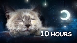 10 Hours - Relaxing Lullaby For Cat And Kitten With Cat Purring Sounds Cat Music