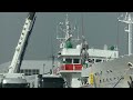 3月5日　第87長久丸のネットツリー水揚げ（87th chokyu maru s net tree landing）