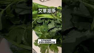 艾草对女人手脚冰凉很好，我是这样泡茶喝。#艾草 ##shot #satisfying #茶