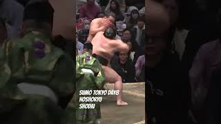 SUMO SHODAI-HOSHORYU ＜TOKYO DAY8＞ #shorts