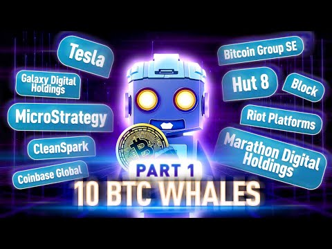 Microstrategy | The Largest Bitcoin Holders Revealed!