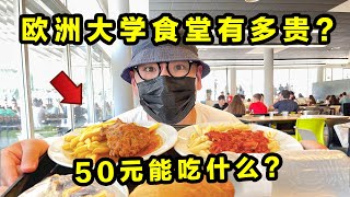 欧洲大学食堂有多贵？最便宜50元一个学生套餐能吃到啥？