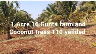 Bx) 1 Acre 16 Gunta Land for sale|| Contact Mahadevu 9448622855||