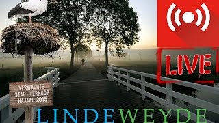 Live stream Lindeweyde