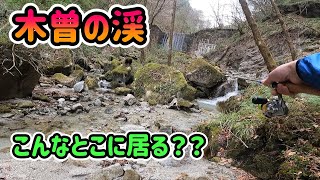 【渓流ルアー】木曽の渓は、過酷だけど面白い！小さな沢でも釣れる♪