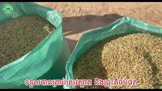 #ច្រូតកាត់លឿនស្អាតធុងស្ដុកស្រូវធំ ជើងក្រោមក៏មាំ ម៉ាស៊ីនច្រូតម៉ាកISEKI ផលិតផលពីប្រទេសជប៉ុន 100%