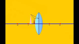 Convex Lens