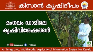 Farming  tales of Mangalam Dam