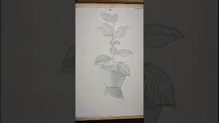 Drawing Art | From Sketch to Masterpiece