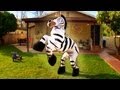 Dope Zebra - Rhett & Link (Original Video)