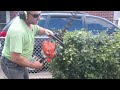 echo hc 2020 hedge trimmer oil gas mix lawncare landscaping