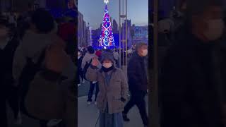 GIANT CHRISTMAS TREE IN JAPAN