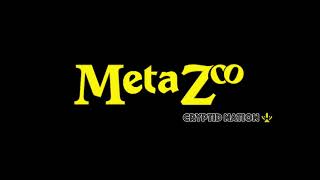 The Official MetaZoo: Cryptid Nation Song!