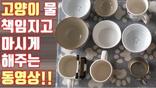 고양이 물 먹이기(고양이 음수량 늘리기) How do I get my cat to drink water