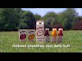 innocent smoothies advert their first ever tv advert tv advertising agency toast