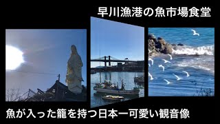 【日本一港に近いJR駅・早川】漁港の魚市場食堂と海を見つめる観音像/小田原/熱海方面へ行く時、電車や車の窓から見た事ありませんか？魚を入れたカゴを持つ魚籃大観音