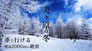 雪道スタック×強風×極寒…絶景ハイキング | 長野県美ヶ原高原 |Snowbound × Strong Winds × Freezing Cold… Epic Winter Hike !