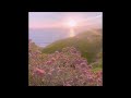 secret attraction - peppermint (slowed + reverb)