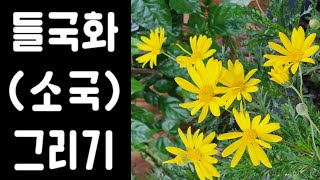 [2--4]들국화의 다른표현/봉오리 표현