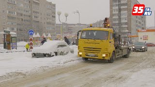 Более 160 «подснежников» насчитали с начала года в Череповце