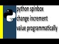 Spinbox example change increment value programmatically in Python