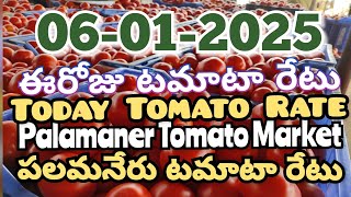 పలమనేరు 🍅🍅🍅టమాటో మార్కెట్ ధరలు 06-01-2025 ||ఈ రోజు టమోటా ధర Palamaner Market||@ckgowthamvlogs