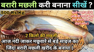 बरारी मछली देहाती तरीके बनाएंगे तो कहेंगे,कास पहले पता होता ईतना टेस्टी | Barari Fish Curry At Home