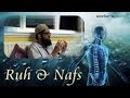 Understanding our body - The Ruh & Nafs | Shaykh Asrar Rashid