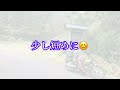 福井県 虫谷集落跡へ