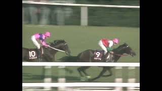 メジロマックイーン 1993年 第28回京都大賞典(GII) (優勝馬：メジロマックイーン)