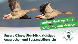 DJV-Online-Vortragsreihe \