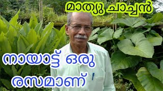 86 വയസ്സുള്ള മാത്യു ചാച്ചന്റെ കുടിയേറ്റ ജീവിത അനുഭവങ്ങൾ, നായാട്ട് ഒരു രസമാണ് @CaptBinoyVarakil