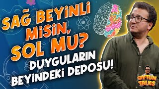 Eksikliği Depresyona Sürüklüyor! Amigdala Boyutuna Göre Sen Kimsin? Beyin ve İnsan | Oytun Erbaş