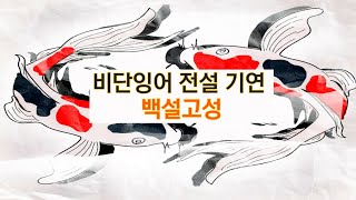 천애명월도M 비단잉어 전설 기연 백설고성