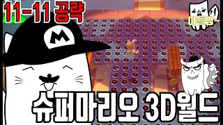 슈퍼마리오 3D월드+퓨리월드 11-11 별3개 공략~