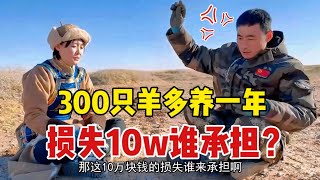 【牧牧】248 订羊出意外10w块打水漂内蒙牧民大哥当场翻脸，巨额损失谁承担？