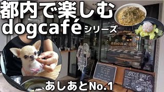 都内ペット可レストランやドッグカフェをご紹介する新企画【#74】