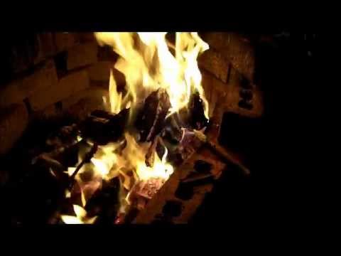 Man Vs Nature - Bug Eat - Part 2 Man Vs Nature - Bug Eat - Part 2
