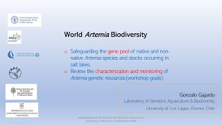 World Artemia biodiversity | Safeguarding Artemia resources