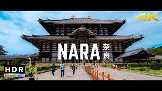 Nara, Japan - 21:9 Ultrawide 4K HDR - Todai-ji - Cinematic Short